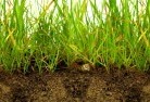 Curtinsub-soil-drainage-6.jpg; ?>